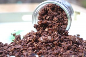 Bánh Granola Không Nướng: Cách Làm Ngon Miệng, Dễ Dàng