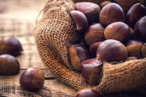 Hạt Chestnut: Lợi ích sức khỏe bất ngờ