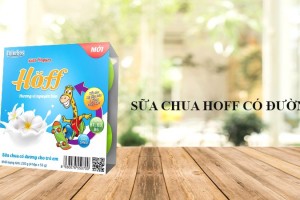 Sữa chua Hoff: Cho bé mấy tháng tuổi? Loại nào phù hợp?