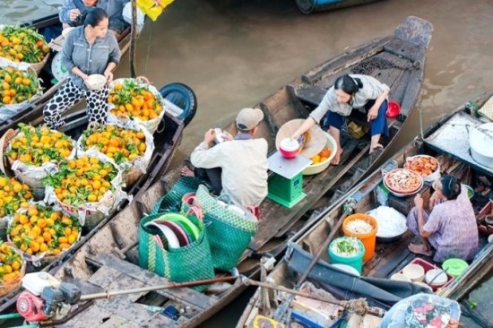 Khám phá Cần Thơ: Du lịch tự túc từ A-Z