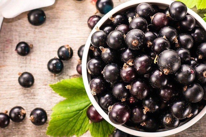 Lợi ích sức khỏe bất ngờ từ quả mọng (berry)