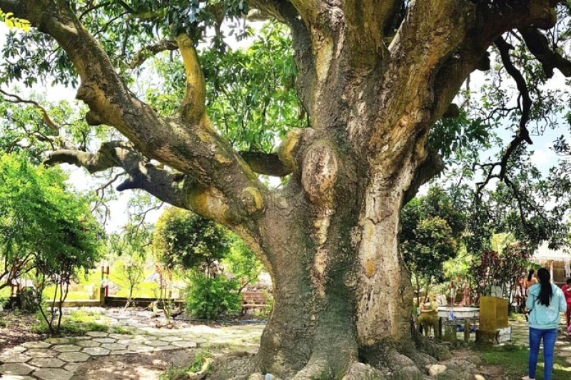 Bạc Liêu: 22 Địa Điểm Du Lịch Hấp Dẫn Cho Chuyến Đi Hoàn Hảo