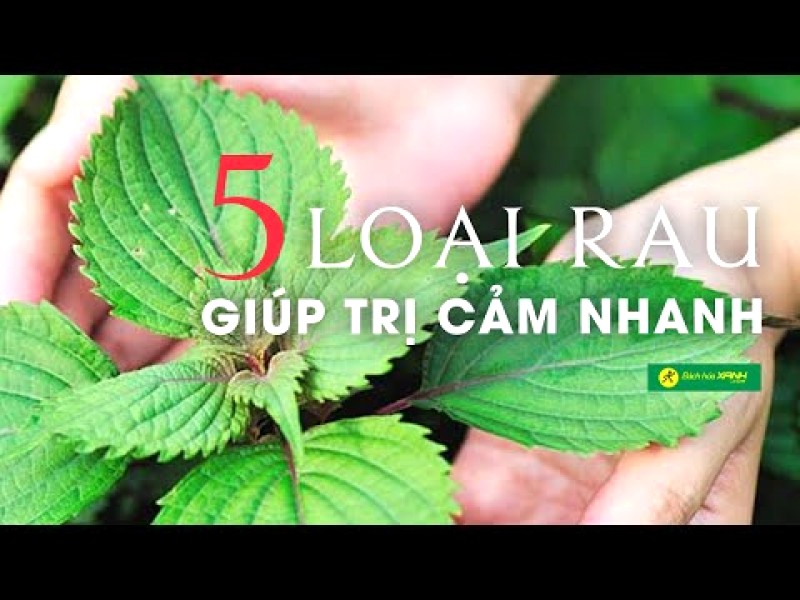 5 loại rau gia vị trị cảm cúm hiệu quả