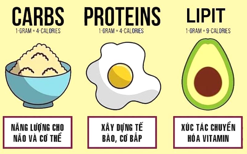 Carbohydrate là gì và loại nào tốt cho sức khỏe?