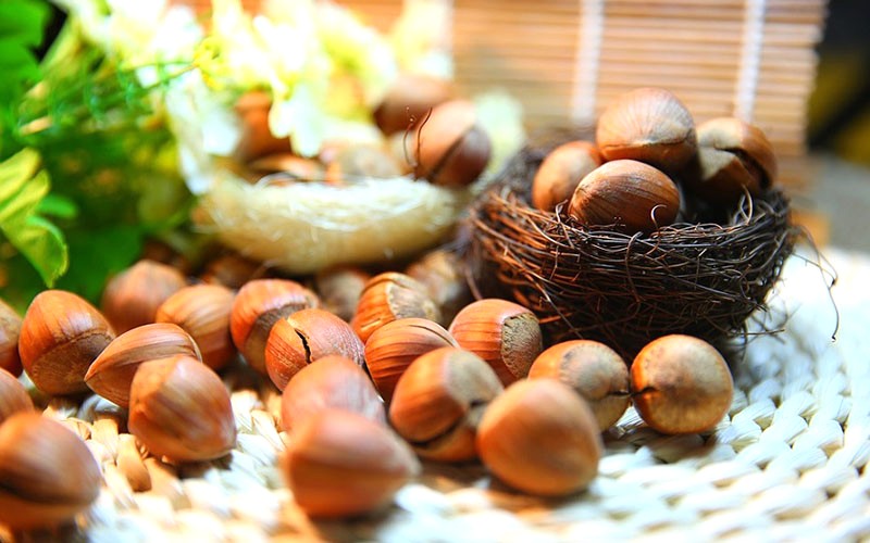 Hạt Hazelnut: Lợi ích và cách ăn ngon