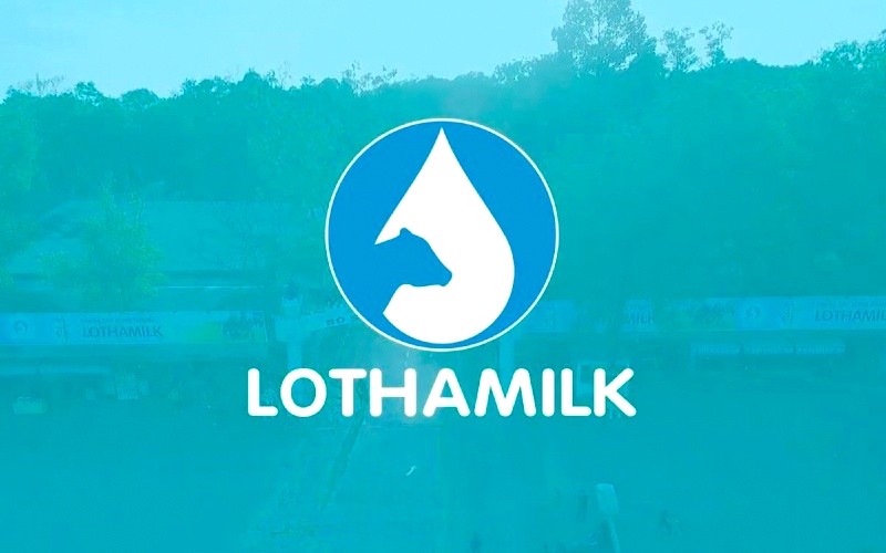 Thương hiệu Lothamilk