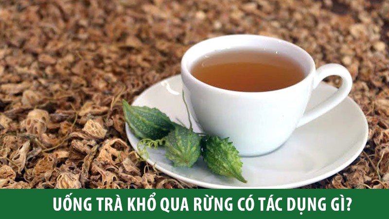 Công dụng & Lưu ý sử dụng trà khổ qua rừng