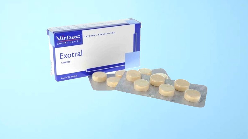 Thuốc tẩy giun Virbac Exotral cho mèo