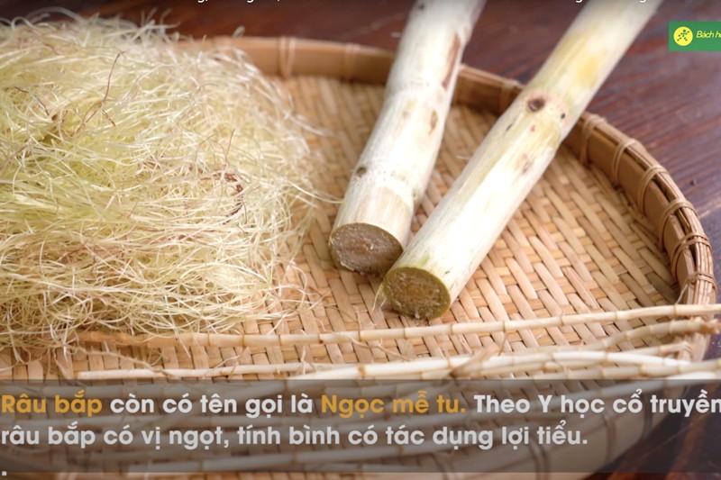 Ngọc mễ tu là râu bắp.