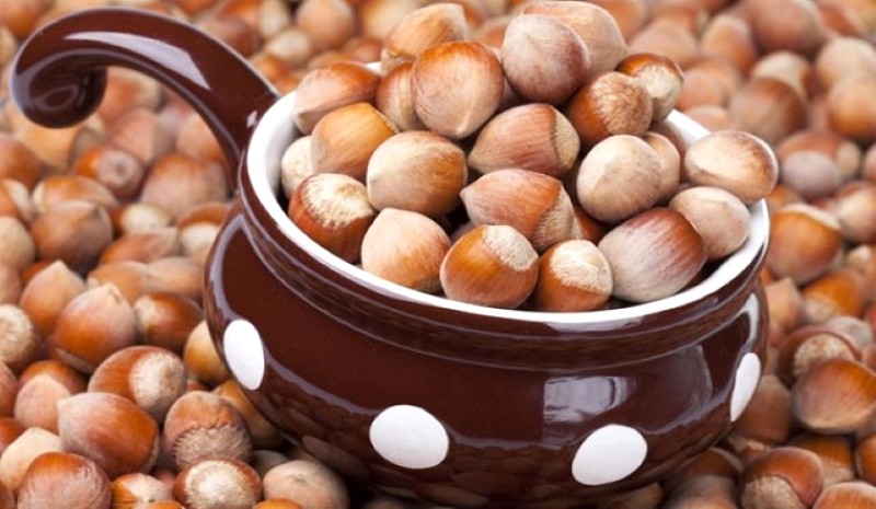 Hạt Hazelnut nên mua ở đâu?