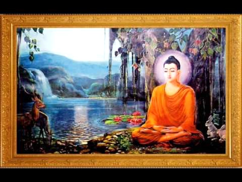 Nhạc thiền tịnh: thư giãn, giảm căng thẳng.