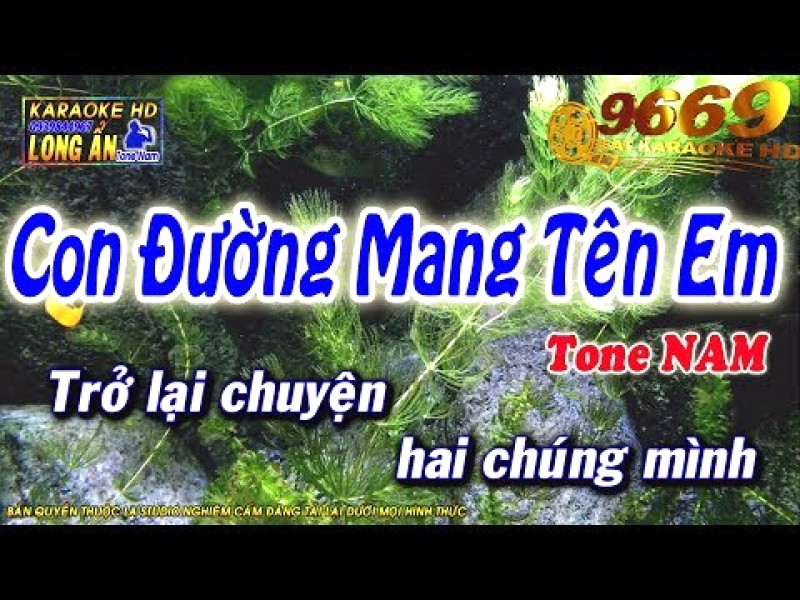 Tuyển tập Bolero bất hủ