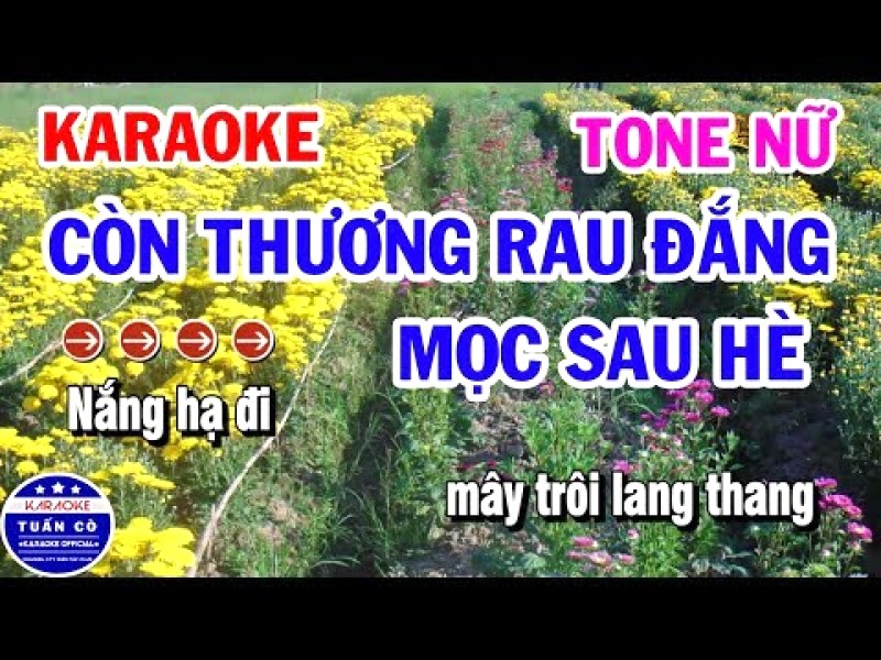 Tuyển tập 150 bài Bolero bất hủ