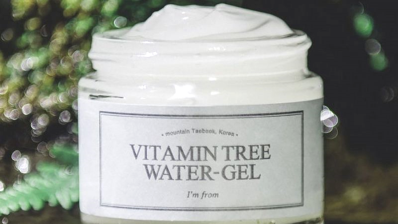 Gel dưỡng ẩm se khít lỗ Im From Vitamin Tree Water Gel