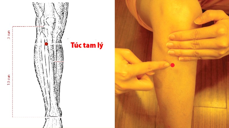 Huyệt túc tam lý