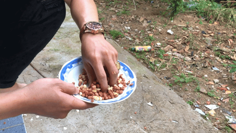 Lột vỏ đậu phộng siêu tốc.