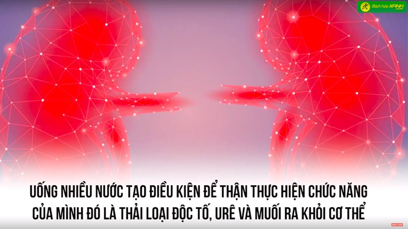 Thiếu nước gây ảnh hưởng gì?