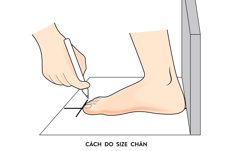 Cố định kích thước chân giấy.