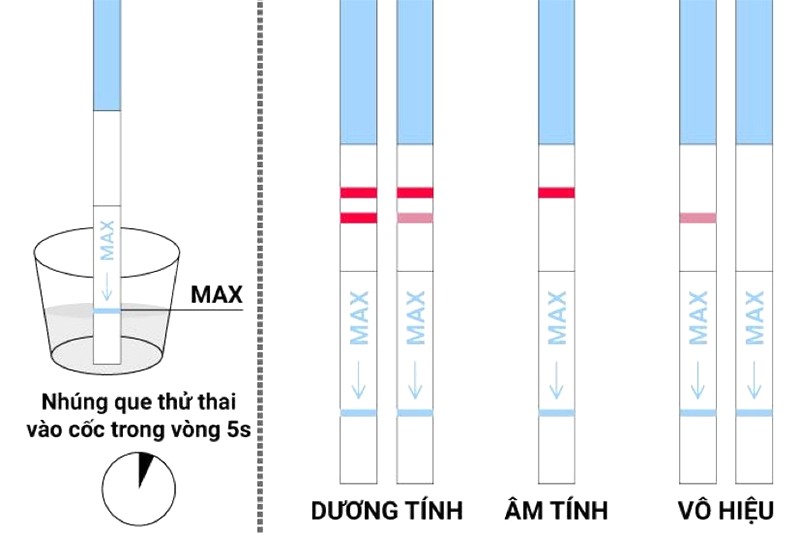 Cách đọc kết quả que thử rụng trứng