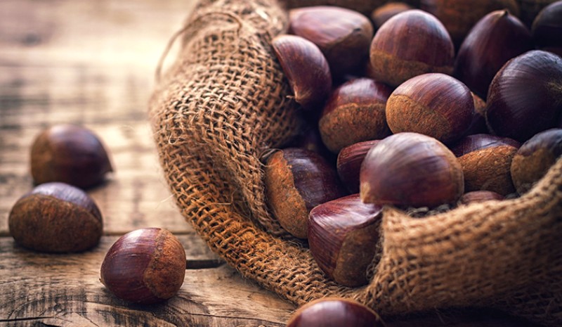 Lợi ích sức khỏe của hạt Chestnut là gì?