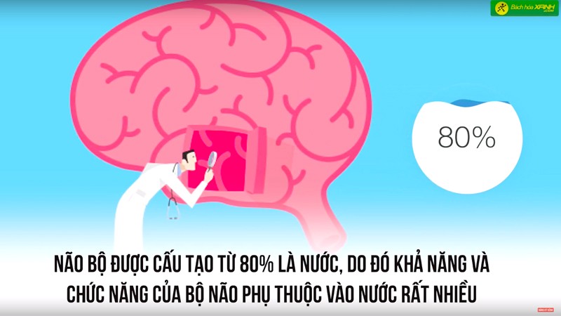 Thiếu nước có thể gây hại gì?