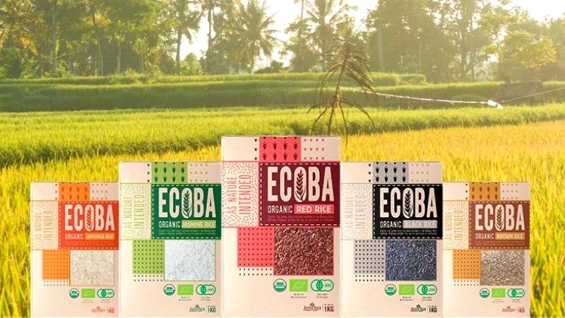 Gạo hữu cơ ECOBA