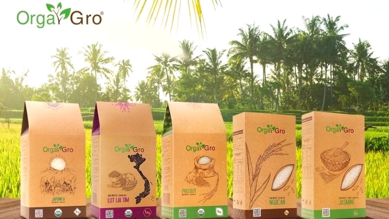 Gạo hữu cơ OrgaGro