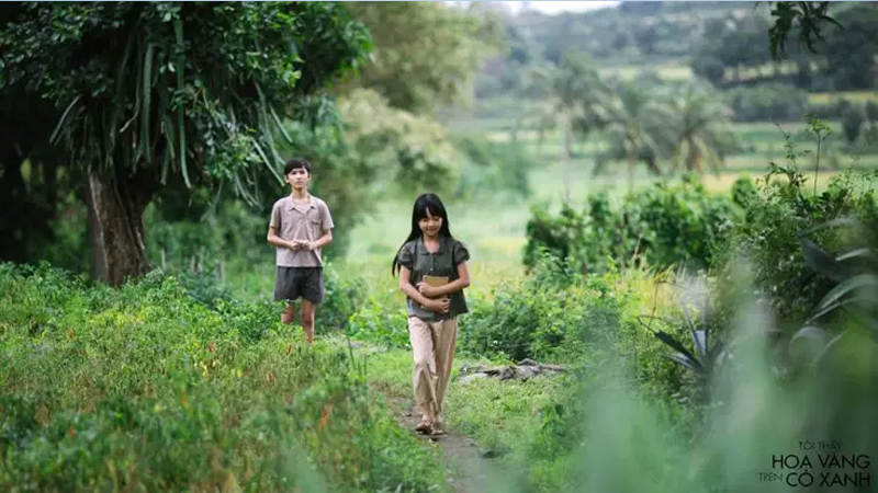 Phim Tôi thấy hoa vàng trên cỏ xanh