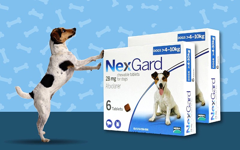 Thuốc uống trị ve chó Nexgard