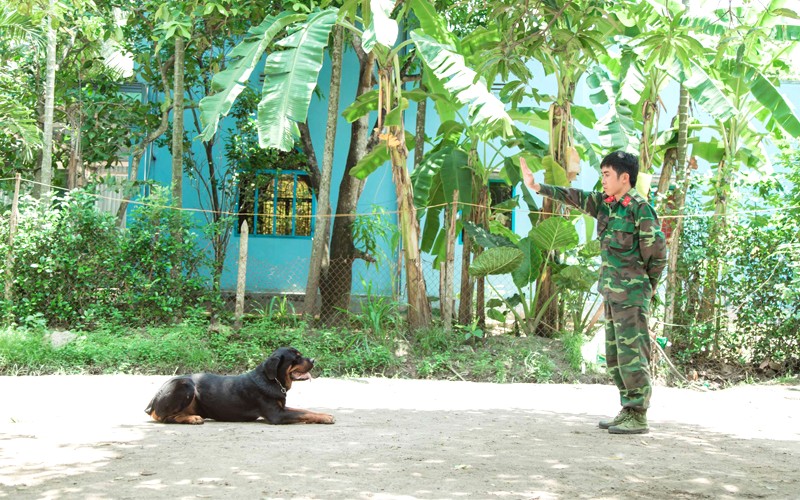 Kinh nghiệm cho chó ăn uống