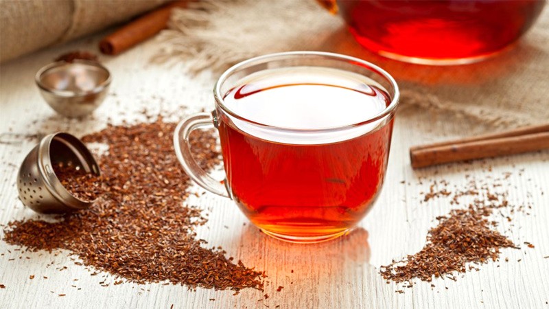 Trà rooibos