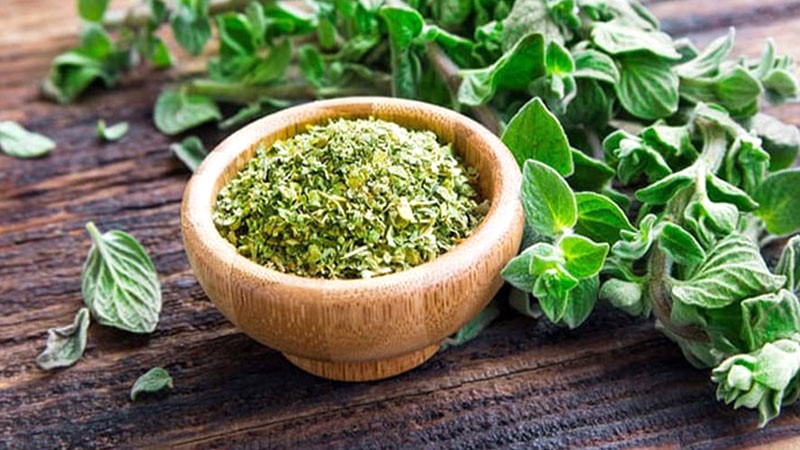 Bảo quản lá Oregano