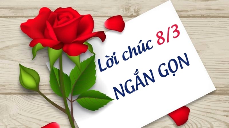 Chúc cô ngày 8/3 thật vui vẻ và hạnh phúc!