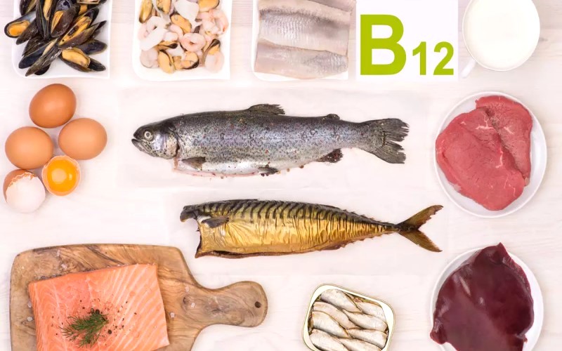 Cá chình giàu vitamin B12, ngừa thiếu máu.