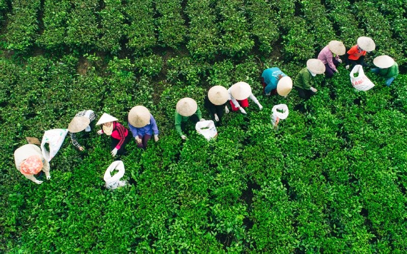 Tổng quan về tỉnh Thái Nguyên