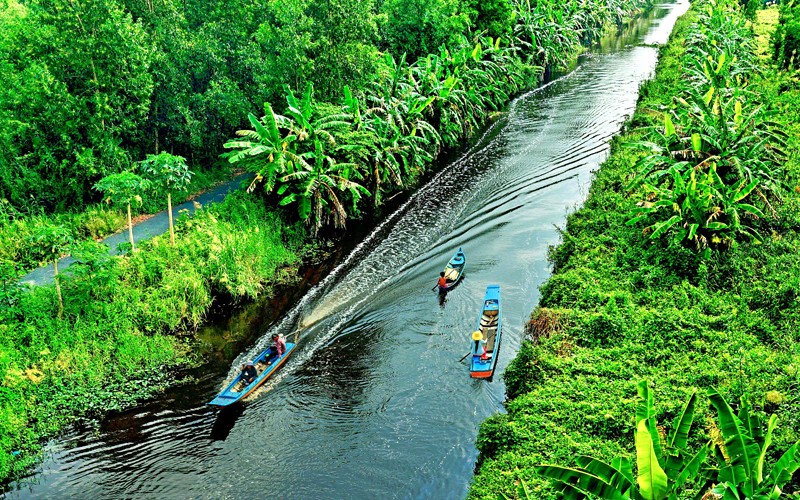 Vườn quốc gia U Minh Hạ nhìn từ trên cao.