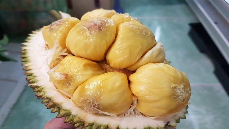 Mít tố nữ Long Khánh