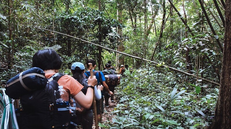 9 đỉnh núi trekking đỉnh cao Việt Nam