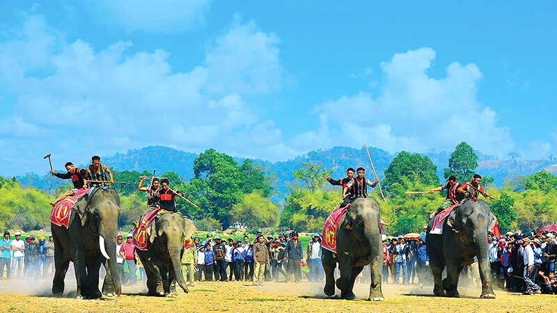 Lễ hội đua voi