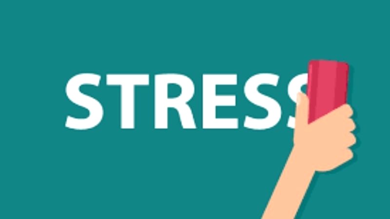 Tảo xoắn Nhật Bản: Giảm stress, ngủ ngon hơn.