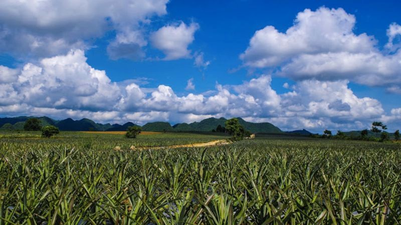 Du lịch Tam Điệp