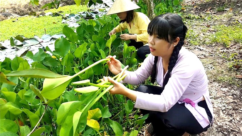 Kèo nèo: đa dụng trong ẩm thực và y học.