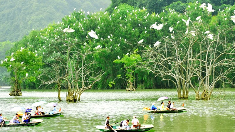 Thung Nham thơ mộng, chim bay rợp trời.