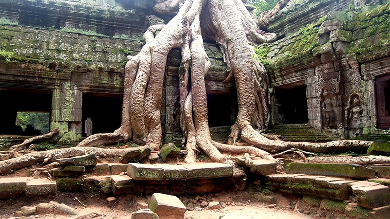 Đền Ta Prohm