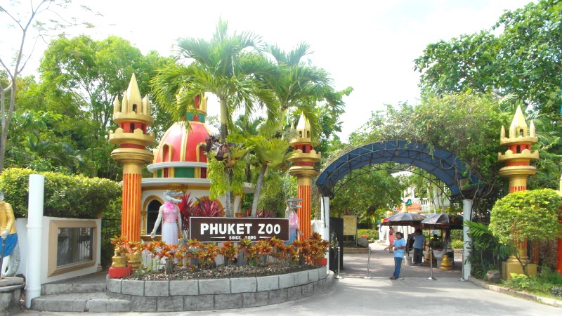 Phuket Zoo: Thế giới động vật kỳ thú, show diễn hấp dẫn.