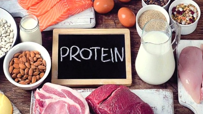 Trứng có chứa protein