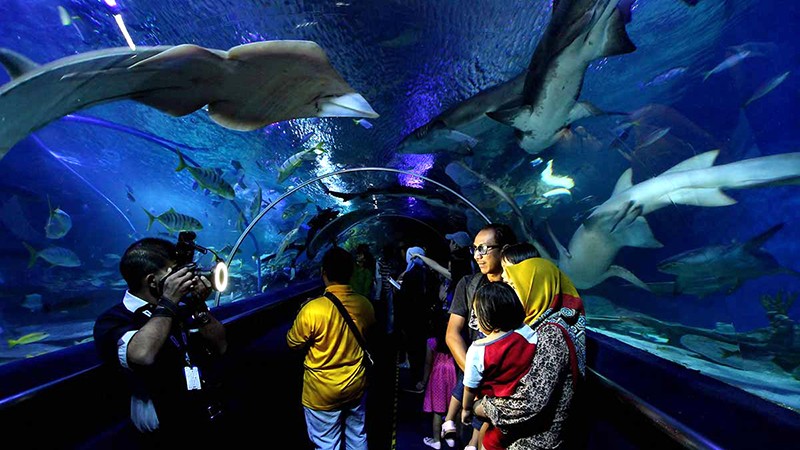 Aquaria KLCC