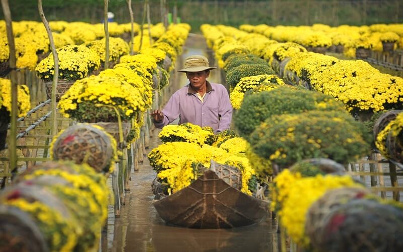 Làng hoa Đồng Tháp: Nét đẹp muôn màu.