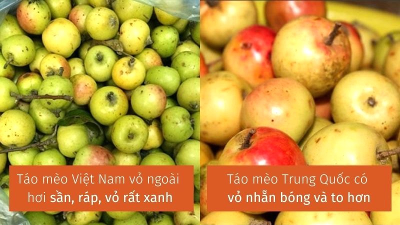 Nhận biết táo mèo Việt - Trung qua hình dáng, màu sắc.