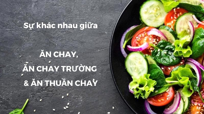 Phân biệt chế độ ăn: chay, trường chay, thuần chay.